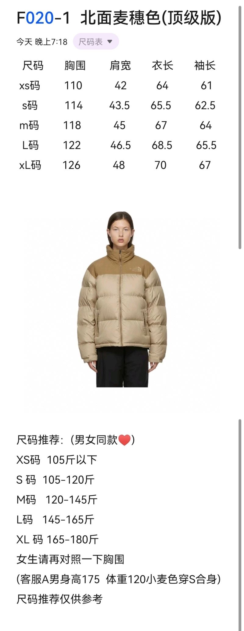 The North Face Down Jackets